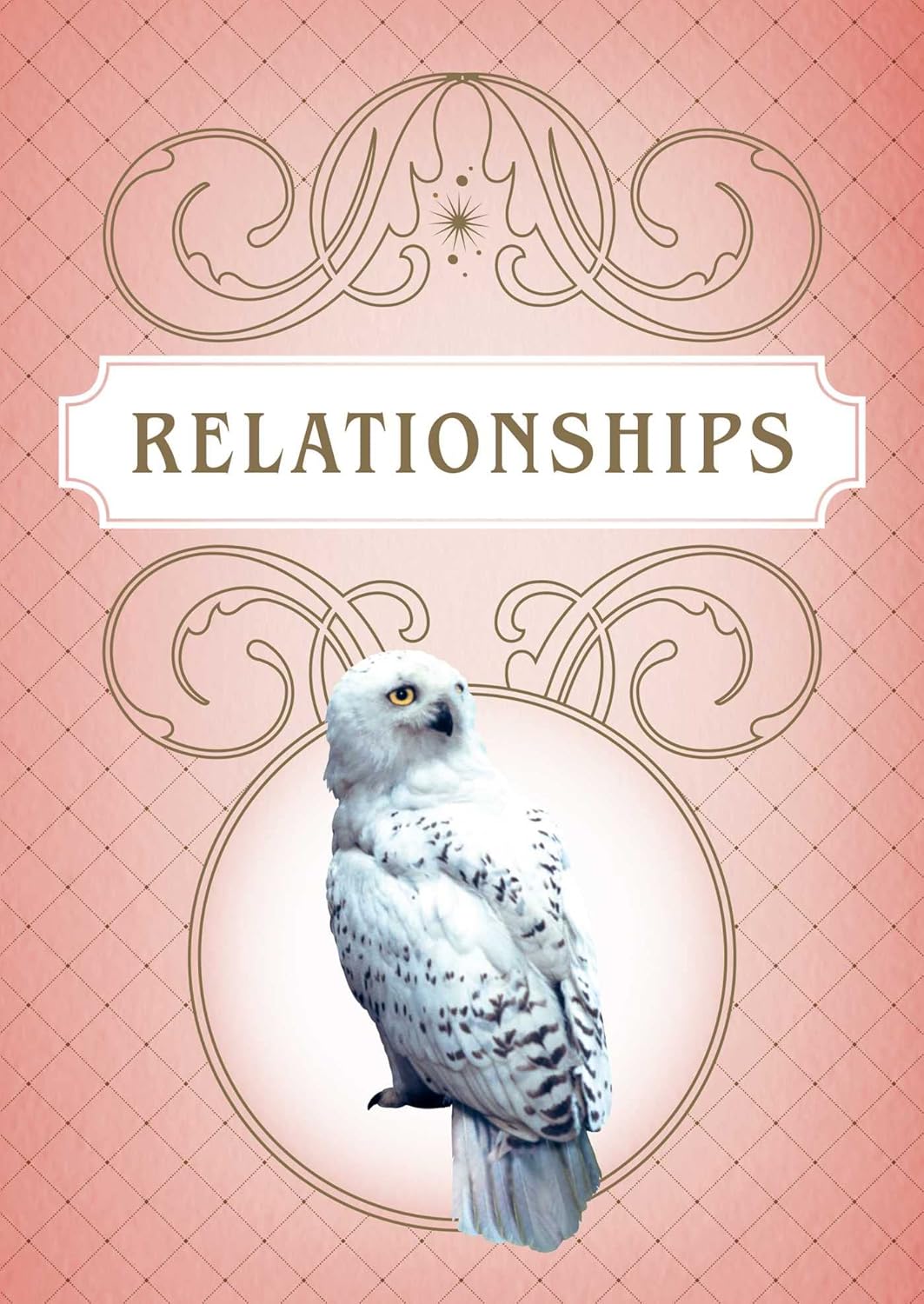 Harry Potter: Magical Meditations Cards
